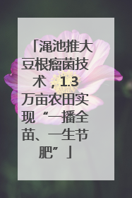 渑池推大豆根瘤菌技术，1.3万亩农田实现“一播全苗、一生节肥”