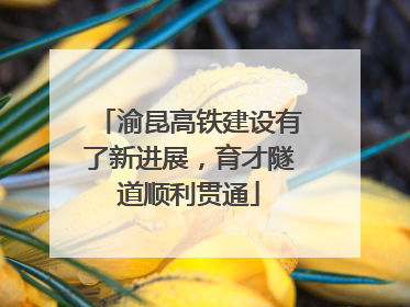 渝昆高铁建设有了新进展，育才隧道顺利贯通