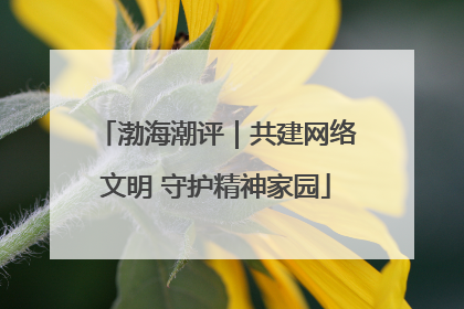 渤海潮评｜共建网络文明 守护精神家园