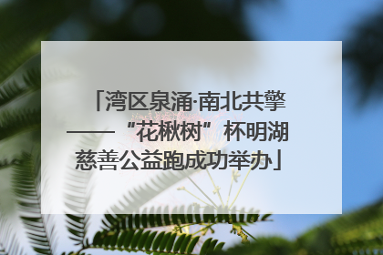 湾区泉涌·南北共擎——“花楸树”杯明湖慈善公益跑成功举办