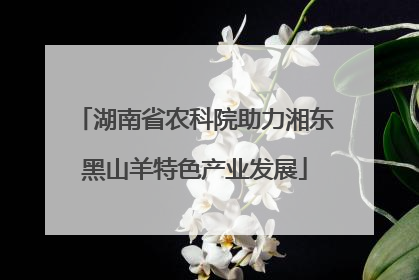 湖南省农科院助力湘东黑山羊特色产业发展