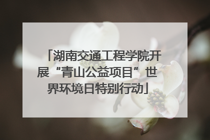 湖南交通工程学院开展“青山公益项目”世界环境日特别行动