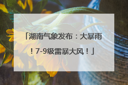 湖南气象发布：大暴雨！7-9级雷暴大风！