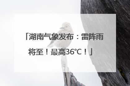湖南气象发布：雷阵雨将至！最高36℃！