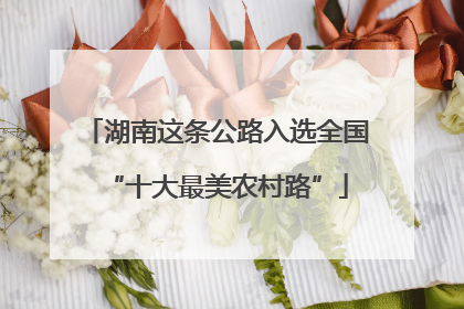 湖南这条公路入选全国“十大最美农村路”