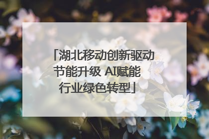 湖北移动创新驱动节能升级 AI赋能行业绿色转型