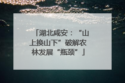 湖北咸安：“山上换山下”破解农林发展“瓶颈”