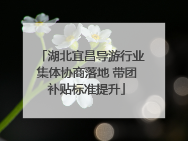 湖北宜昌导游行业集体协商落地 带团补贴标准提升
