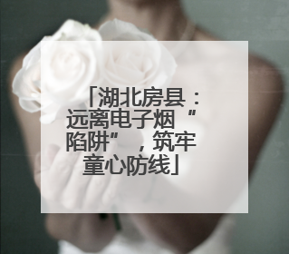 湖北房县：远离电子烟“陷阱”，筑牢童心防线
