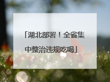 湖北部署！全省集中整治违规吃喝