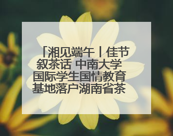 湘见端午丨佳节叙茶话 中南大学国际学生国情教育基地落户湖南省茶叶博物馆