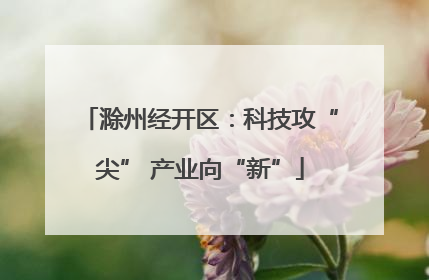 滁州经开区：科技攻“尖” 产业向“新”