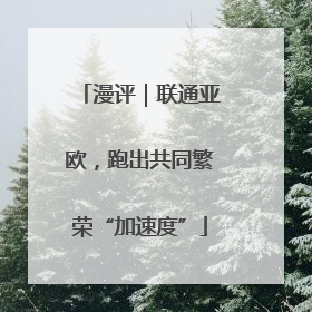 漫评｜联通亚欧，跑出共同繁荣“加速度”