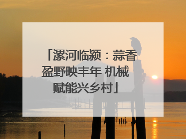 漯河临颍：蒜香盈野映丰年 机械赋能兴乡村