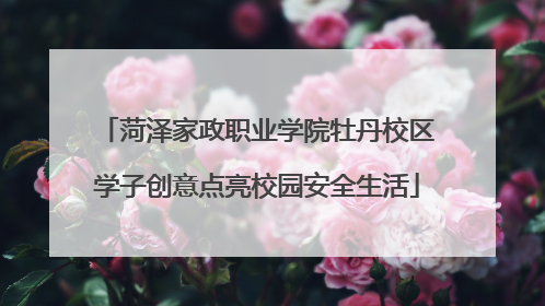 菏泽家政职业学院牡丹校区学子创意点亮校园安全生活