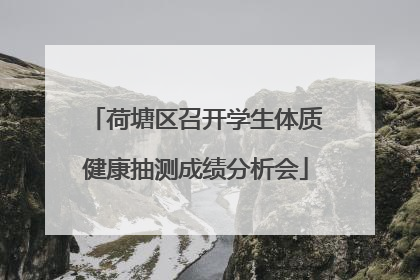 荷塘区召开学生体质健康抽测成绩分析会