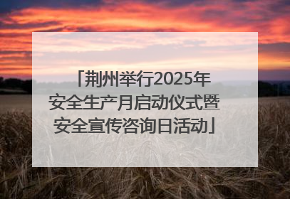 荆州举行2025年安全生产月启动仪式暨安全宣传咨询日活动