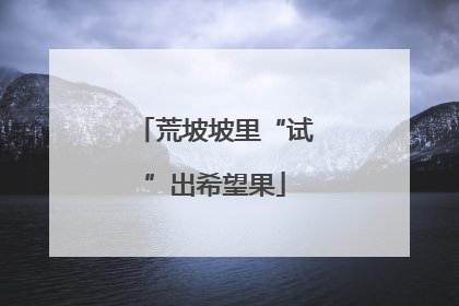 荒坡坡里“试”出希望果