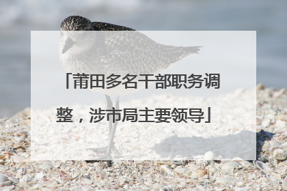 莆田多名干部职务调整，涉市局主要领导