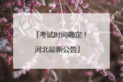 考试时间确定！河北最新公告