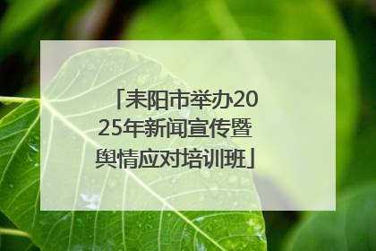 耒阳市举办2025年新闻宣传暨舆情应对培训班