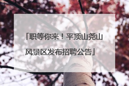职等你来！平顶山尧山风景区发布招聘公告