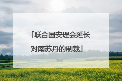 联合国安理会延长对南苏丹的制裁
