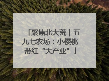聚焦北大荒｜五九七农场：小樱桃带红“大产业”