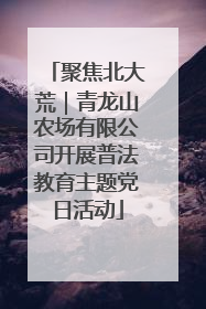 聚焦北大荒｜青龙山农场有限公司开展普法教育主题党日活动