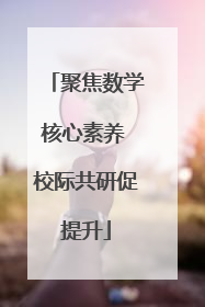 聚焦数学核心素养 校际共研促提升