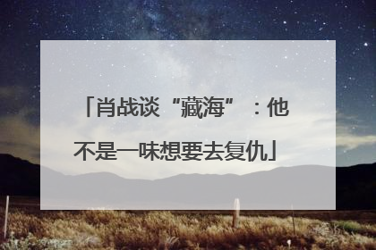 肖战谈“藏海”：他不是一味想要去复仇