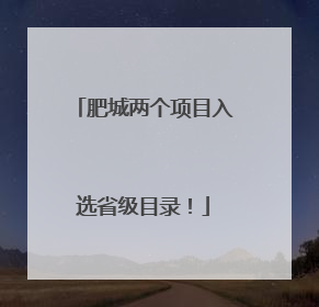 肥城两个项目入选省级目录！