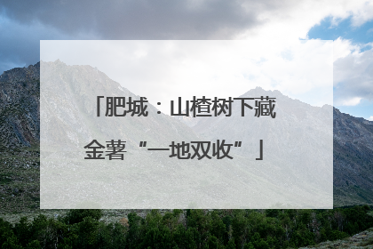 肥城：山楂树下藏金薯“一地双收”