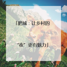肥城：让乡村的“夜”更有魅力