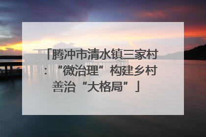 腾冲市清水镇三家村：“微治理”构建乡村善治“大格局”