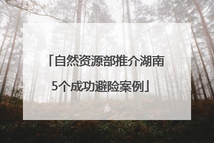 自然资源部推介湖南5个成功避险案例