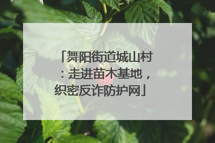舞阳街道城山村：走进苗木基地，织密反诈防护网