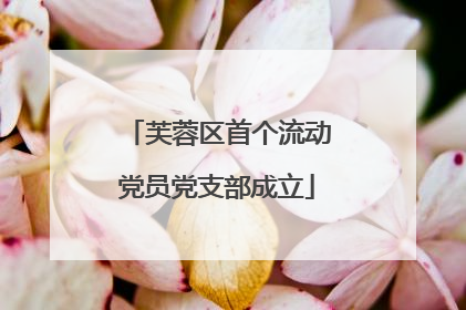 芙蓉区首个流动党员党支部成立