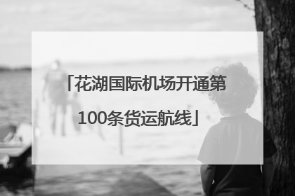 花湖国际机场开通第100条货运航线