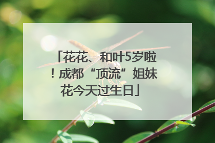 花花、和叶5岁啦！成都“顶流”姐妹花今天过生日