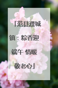 范县濮城镇：粽香迎端午 情暖敬老心