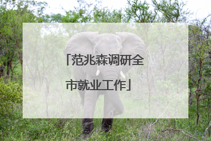 范兆森调研全市就业工作