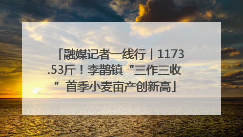 融媒记者一线行丨1173.53斤!李鹊镇“三作三收”首季小麦亩产创新高