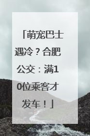 萌宠巴士遇冷？合肥公交：满10位乘客才发车！