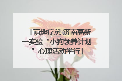 萌趣疗愈 济南高新一实验“小狗领养计划”心理活动举行
