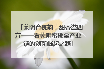 蒙阴育桃韵，甜香溢四方——看蒙阴蜜桃全产业链的创新崛起之路