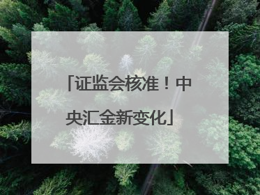 证监会核准！中央汇金新变化
