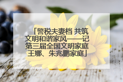 警税夫妻档 共筑文明和谐家风——记第三届全国文明家庭王娜、朱兆鹏家庭
