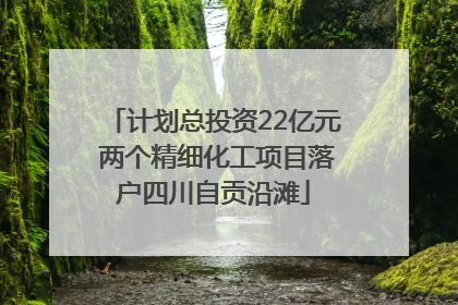 计划总投资22亿元 两个精细化工项目落户四川自贡沿滩