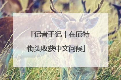 记者手记｜在厄特街头收获中文问候